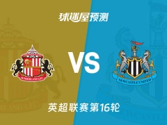 冲刺阶段纽卡斯尔备战英超；迎来里程碑细节曝光；态度坚定；临场指挥获称赞的简单介绍-雷竞技体育